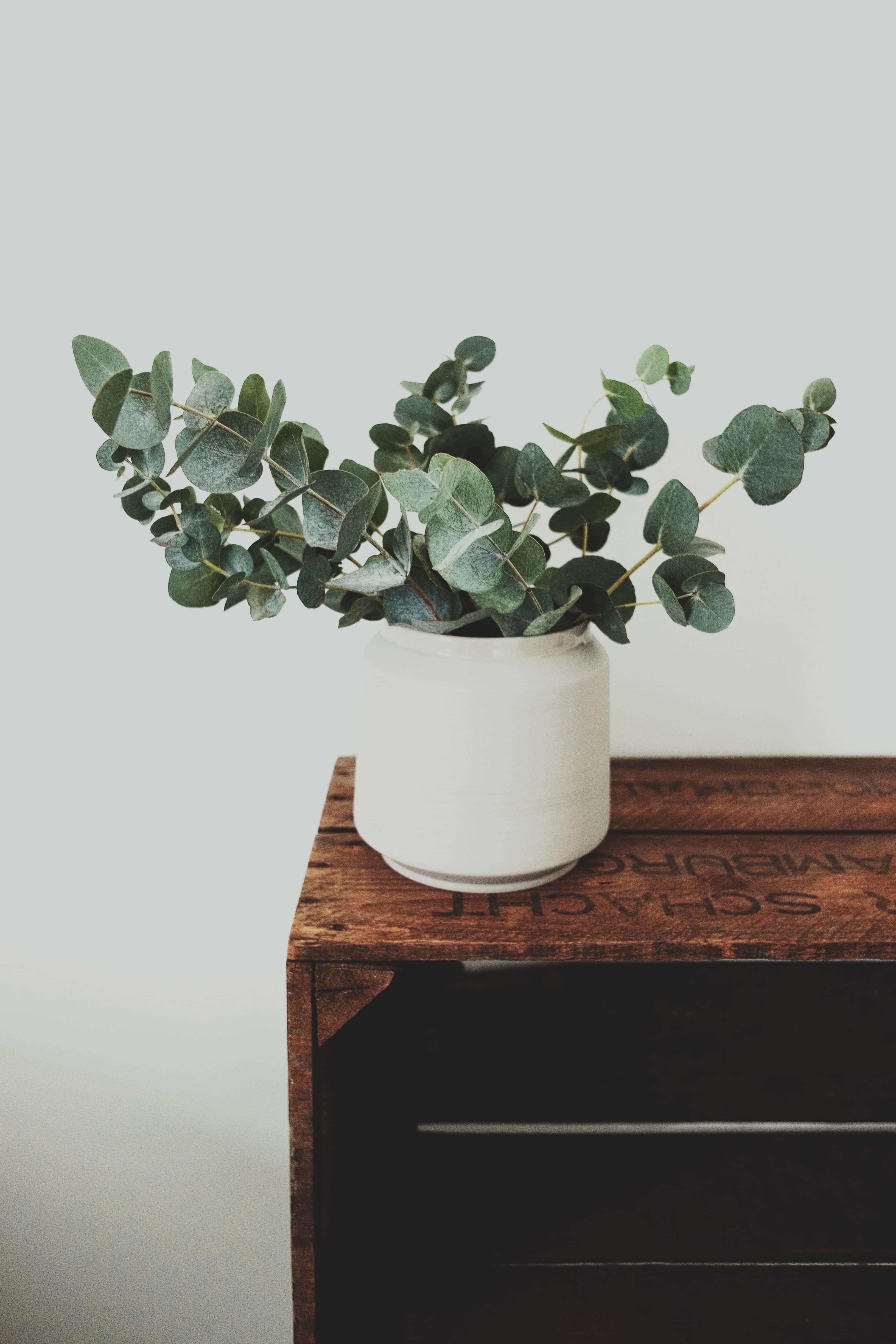Lowest-Priced Fix Guaranteed - Check Eligibility