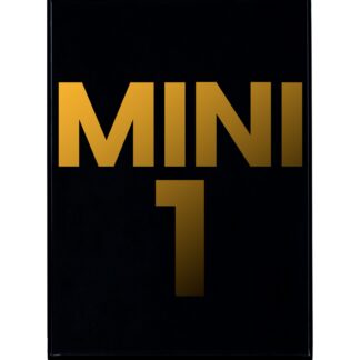 iPad Mini 1 LCD + Screen Replacement_White-Fix Factory Canada